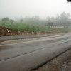 Bolognetta 2010 (67)